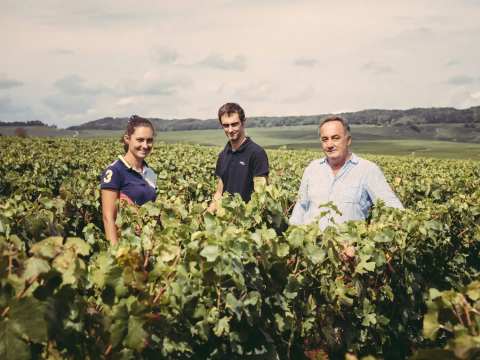 Champagne Egly-Ouriet