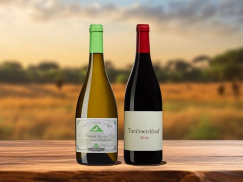 Nya viner från Sydafrika.