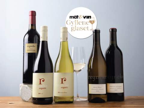 Reyneke vinnare av Gyllene Glaset 2025.