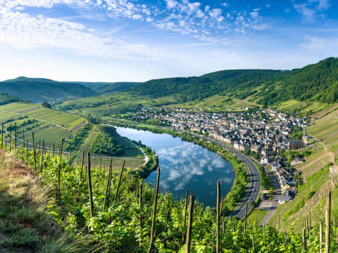 Rheinhessen i Tyskland.