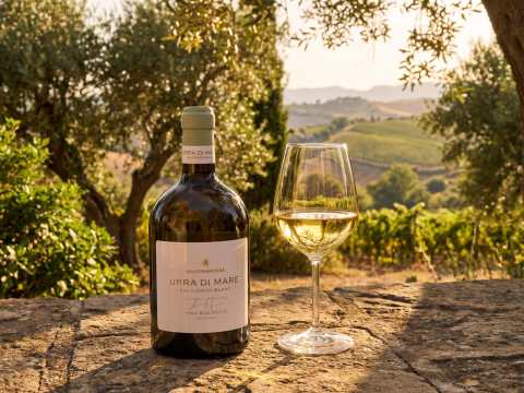 Mandrarossa Urra di Mare Sauvignon Blanc.