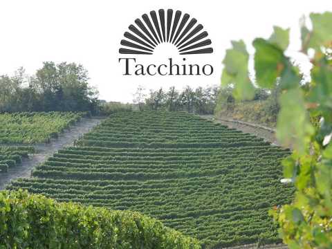 Vinmingel med Tacchino.