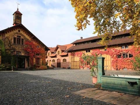Villa Wolf i Pfalz.