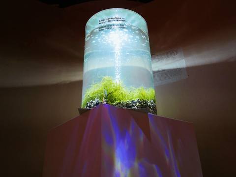 Ätbara alger på Framtidens mat & dryck på Spritmuseum