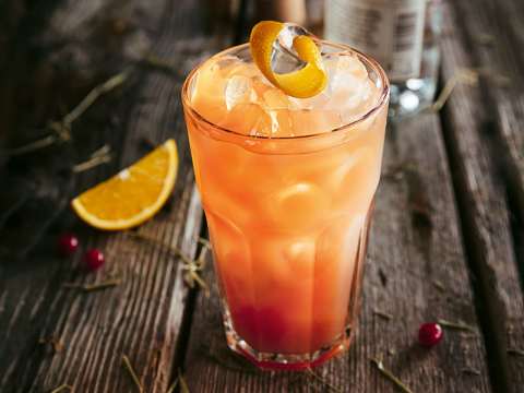 Checkers med Koskenkorva Blueberry Juniper