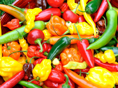 Chili frukter