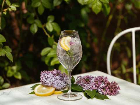 Syréndrink