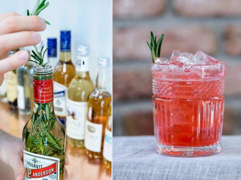 Forest Punch