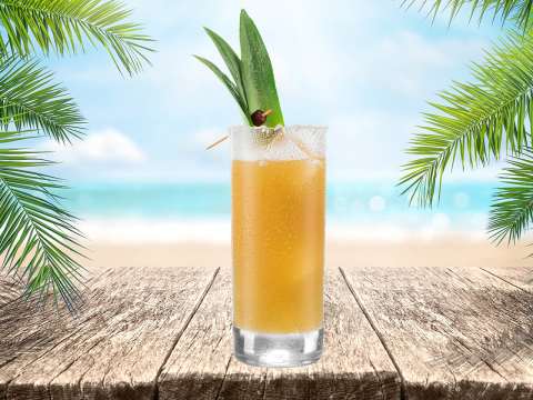 1800 Coconut Crusher