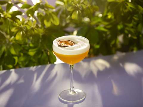 Pornstar Martini X