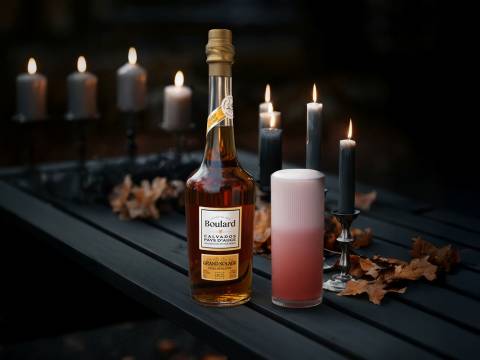 The Norman Witch Fizz