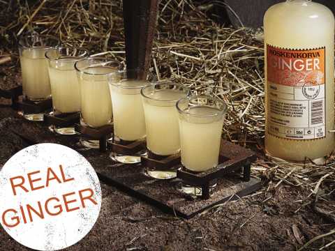 Koskenkorva Ginger