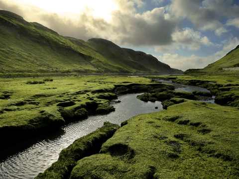 Vattendrag i Highlands - bidrar vattnet till whiskyns smak?