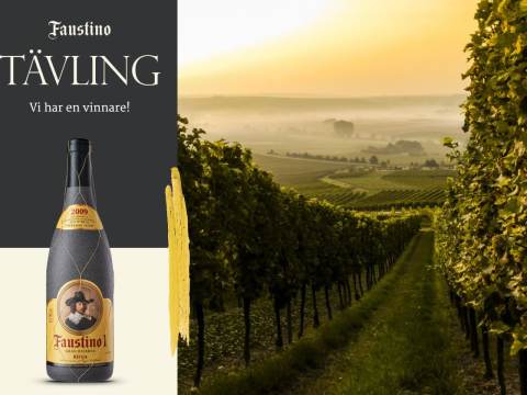 Faustino I flaska och vingård