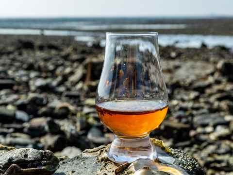 Whisky och ostron