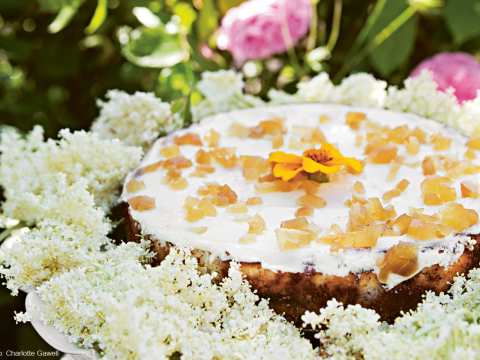 Mazariner - 3 olika recept | folk o folk
