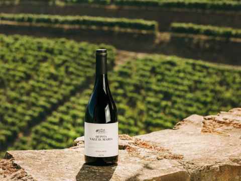 Quinta Vale D. Maria vin på mur