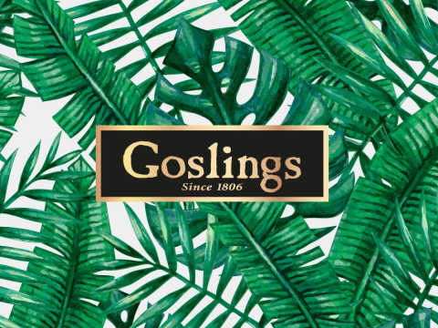 Goslings