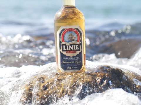 Linie flaska på sten i havet.
