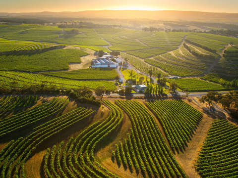 Rosemount Estate -viinitila