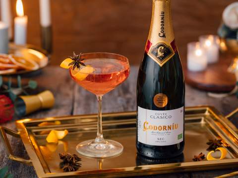 Kuohuva karpalo-kinuski drinkki