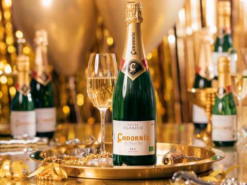 codorniu_clasico_kultasomistus