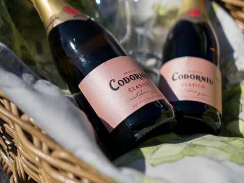 codorniu kuohuviini
