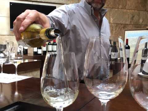 Daniel Pi, Trapichen viinintekijä