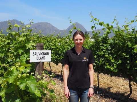 Nederburg-viinitalon pääviinintekijä Andrea Freeborough