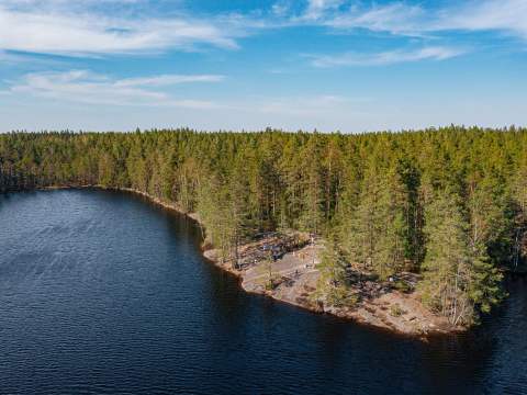 metsämaisema