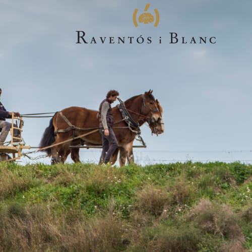 Raventos I Blanc