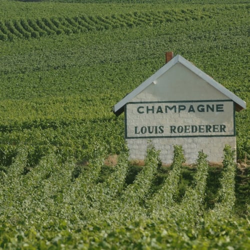 Louis Roederer