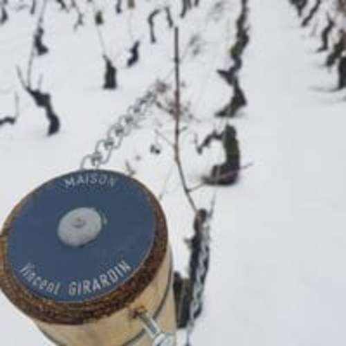 Vincent Girardin_Snow