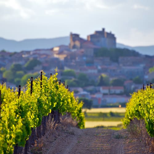 Languedoc Wine Region