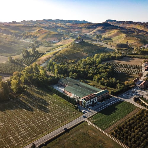 Damilano - Estate