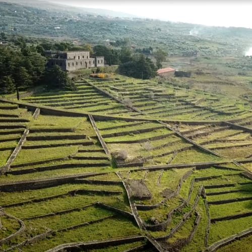 Planeta - Estate
