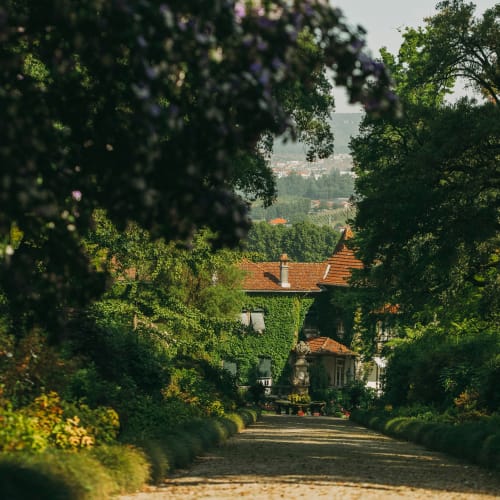 Philipson Söderberg - Aveleda - Scenery