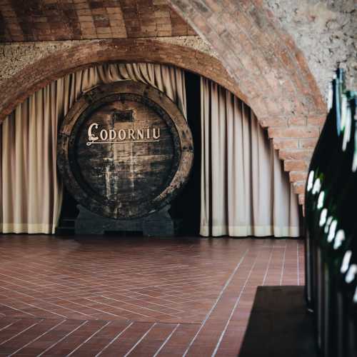 Codorníu - Cellar_14