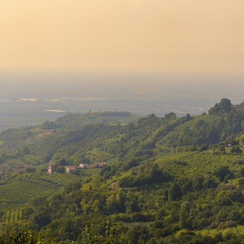 Philipson Söderberg - Italy