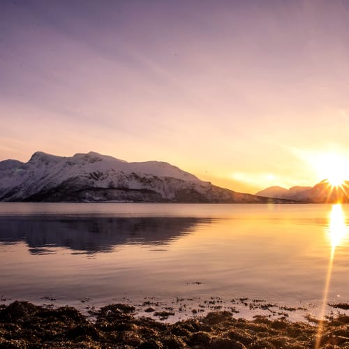 A landscape of mountain and sea by Cognac Larsen