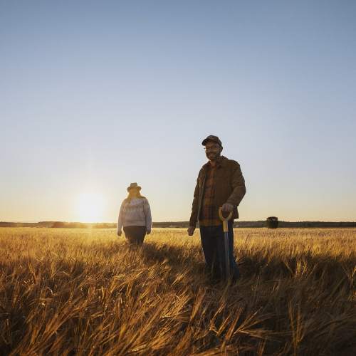 Anora - Aila-Korpelan tila