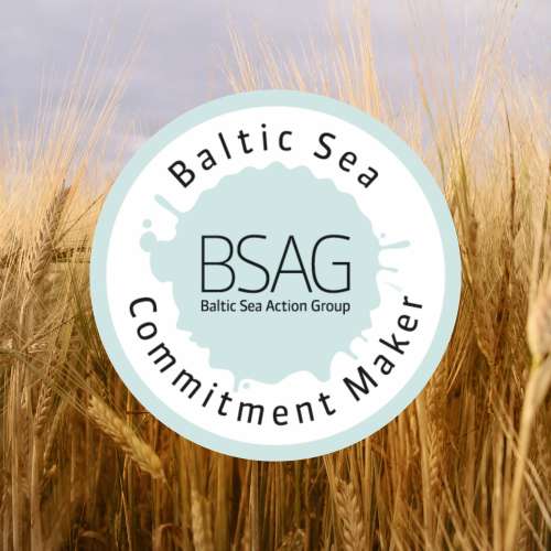 Anora - BSAG commitment maker case