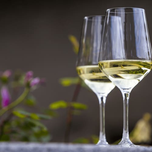 Riesling i glas