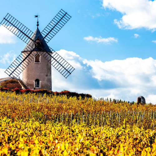 Regionen Beaujolais i Frankrike.