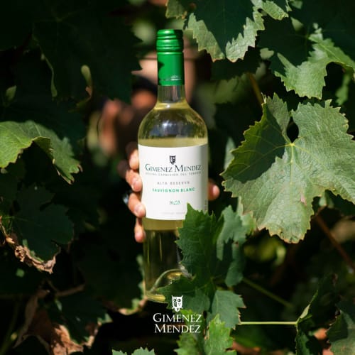 Gimenez Mendez Alta Reserva Sauvignon Blanc