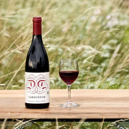 Dorli Muhr Carnuntum, ett av vinerna på vinprovningen.