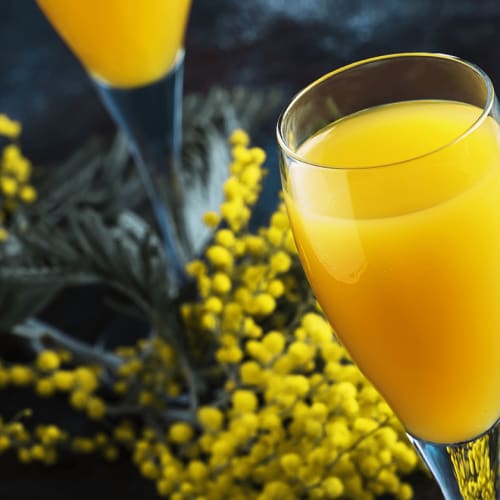 Mimosa