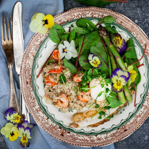 Krämig risotto med kräftstjärtar, stekt färsk fisk och aioli