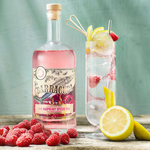 Raspberry Spiced Lemonade