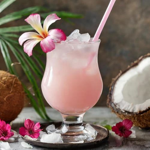 Xanté Coconut Russchian